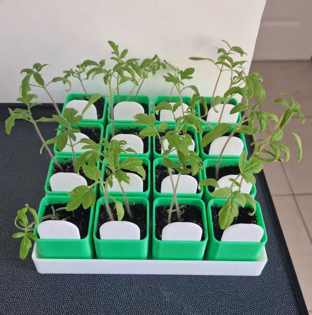 Aperçu - Bac de germination 16 godets auto-irriguants